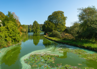 SafeGuard™ H2O Phosphate Removal System
